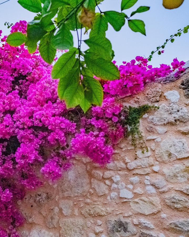 הרקליון The Venetian Walls 'Central House With Private Courtyard - Charmy & Cheap' מראה חיצוני תמונה